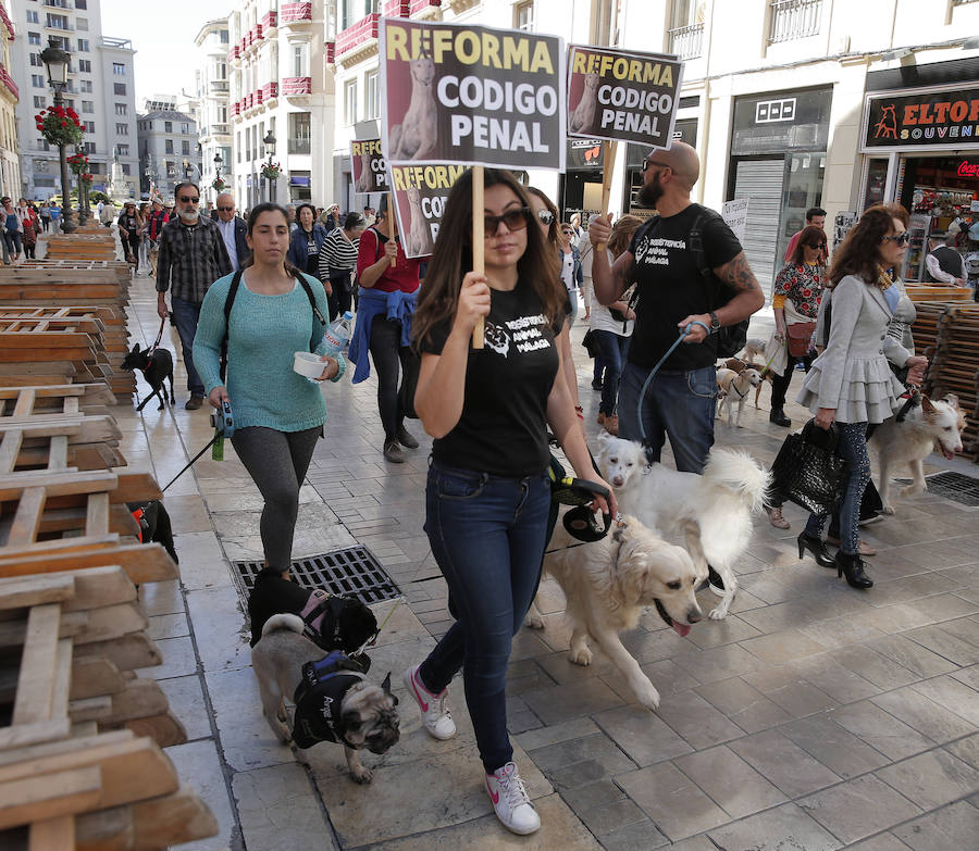 La manifestación de la Protectora de animales de Málaga, en imágenes