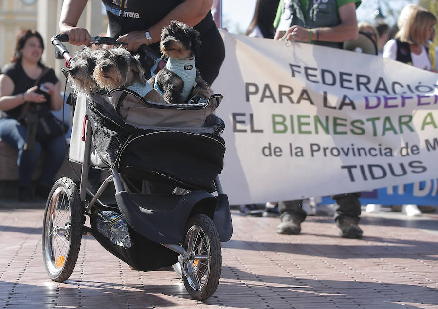 La manifestación de la Protectora de animales de Málaga, en imágenes