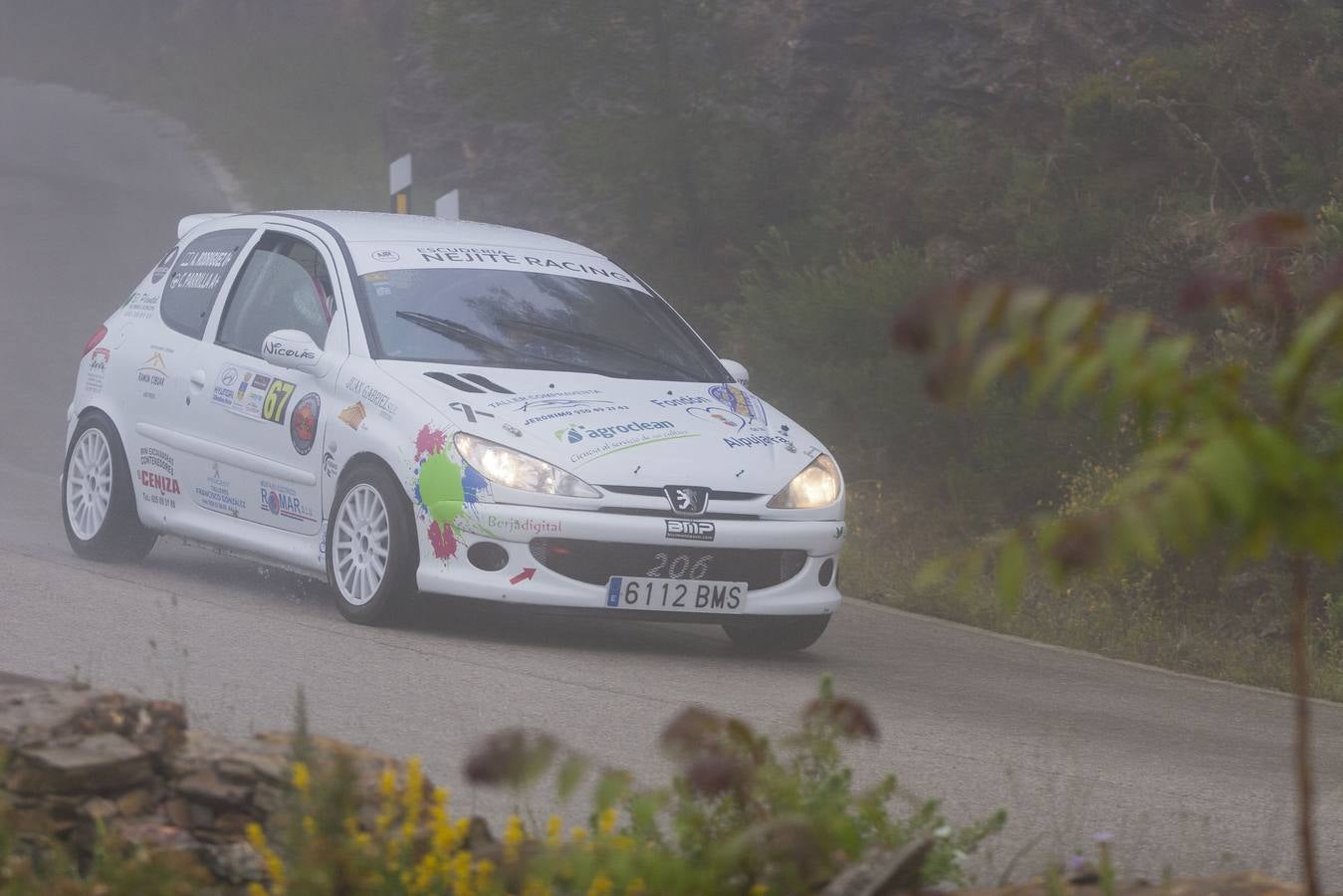 Las mejores imágenes del Rally Rally Gibralfaro de Vehículos Históricos