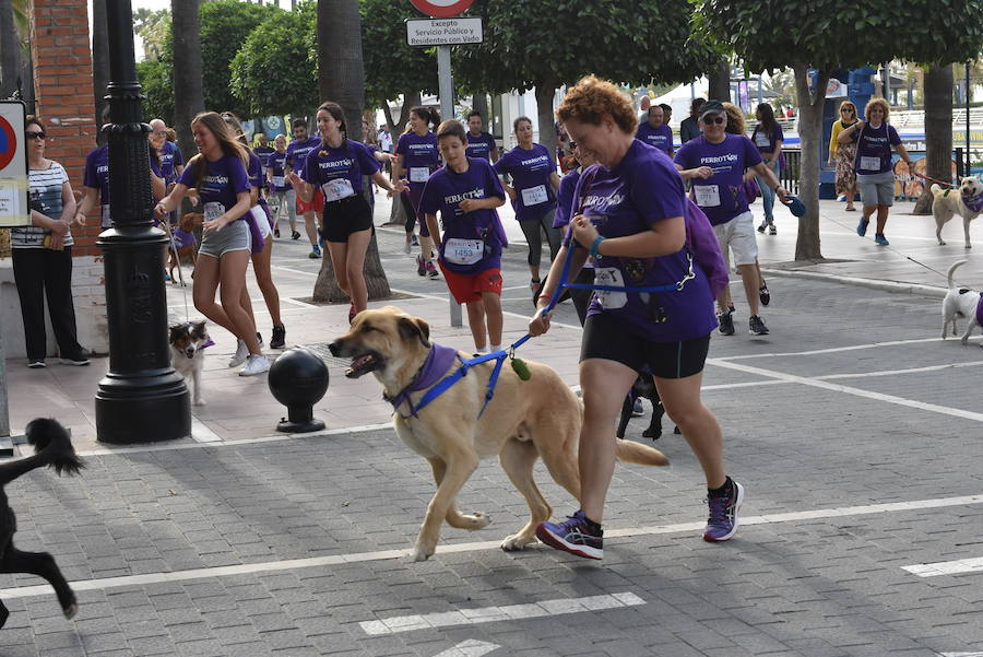 La primera edición andaluza del Perrotón, en Marbella, en fotos