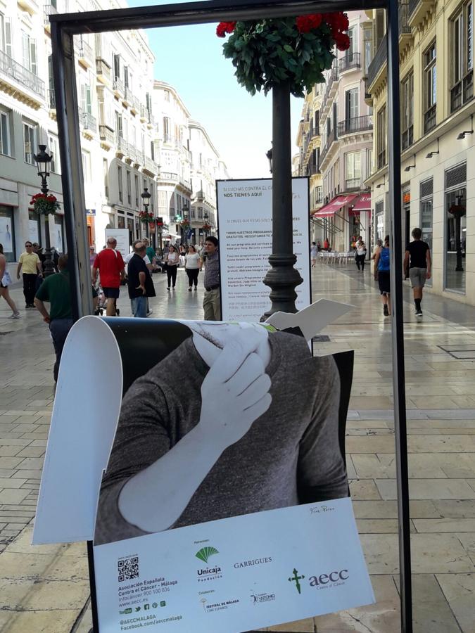 Destrozan la exposición sobre el cáncer instalada en calle Larios