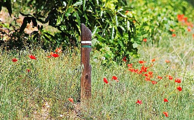 Imagen principal - Arriba: Baliza entre amapolas y aguacates. Izquierda: Puente sobre el arroyo del Muerto. Derecha: Vereda que sale desde el arroyo.