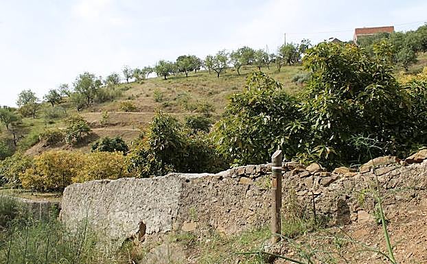 Los primeros metros discurren por el cauce seco del arroyo del Muerto