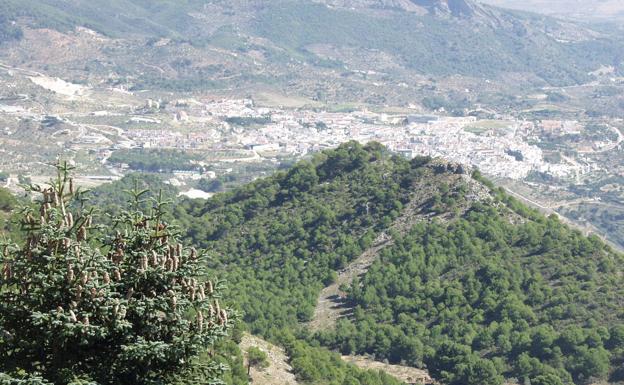 Vista desde el mirador del Saucillo