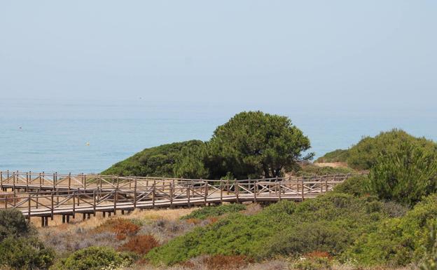 Imagen principal - Este sistema dunar está protegido como Monumento Natural de Andalucía | Playa de Cabopino