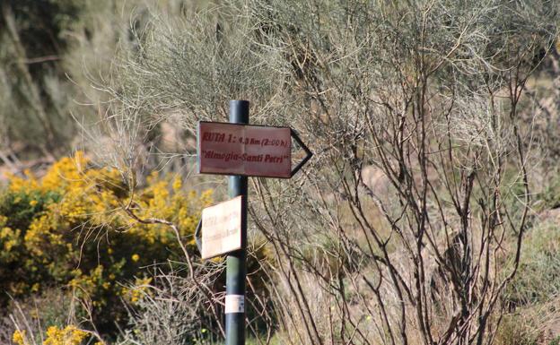 Imagen principal - Punto en el que se separan las rutas de Lo Bernabé y Santi Petri | Almendral con telón de fondo del cerro de Santi Petri | La ruta discurre tanto por carriles de tierra anchos como por senderos estrechos