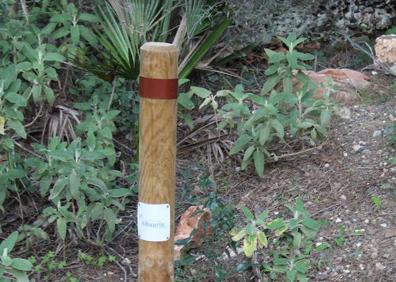 Imagen secundaria 1 - Señalética de los distintos senderos que hay en la zona | Señalización del sendero Marrón | Para hacer este itinerario circular habrá que desviarse por el Sendero Naranja