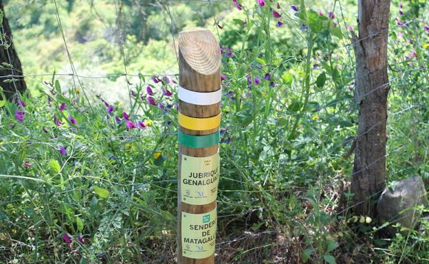 Imagen principal - Hito de madera indicativo de esta ruta y de la que lleva hasta Genalguacil | Uno de los saltos de agua que se puede ver en esta ruta | Hay maderas en algunos puntos del río Monardillo para cruzarlo