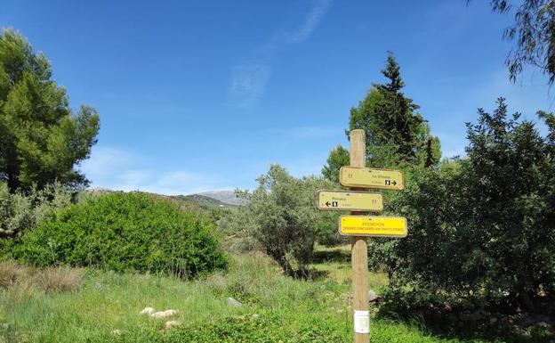 Cruce situado a la altura de Las Mayoralas