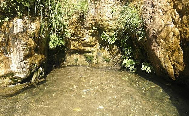 Hay una abundante vegetación ribereña