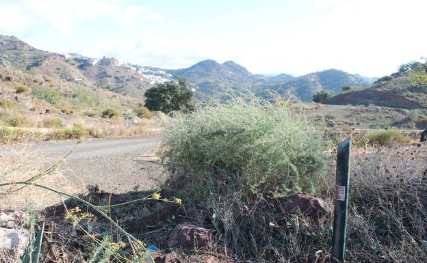 El sendero discurre en su mayor parte por carriles anchos entre olivos, algarrobos y encinas