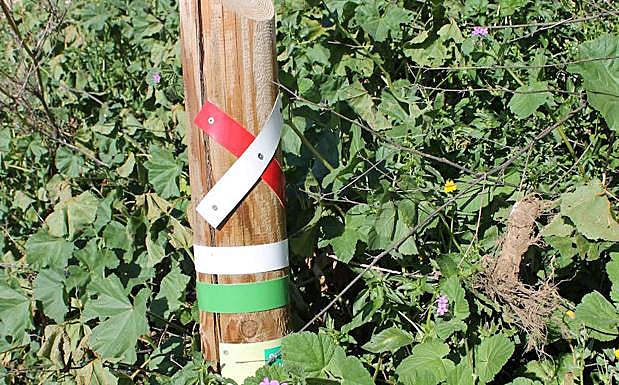 Baliza que indica la primera bifurcación