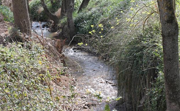 El cauce del Alto Guadalhorce está omnipresente en este recorrido