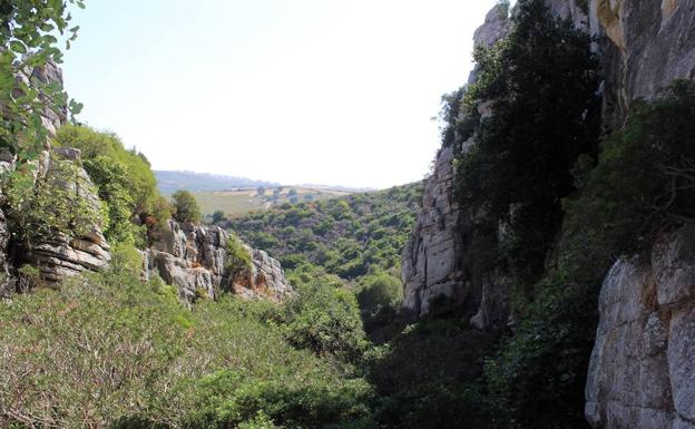 Imagen principal - Perspectiva general del Canuto de la Utrera | En la ida se hace un itinerario descedente | Interior de los Baños de la Hedionda