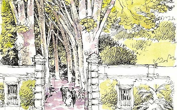 Gráfico. Pincha para ver la imagen completa