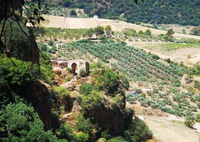 Imagen secundaria 1 - Vista general del valle del Guadalevín. | Al fondo el Arco del Cristo. | Perspectiva del Tajo de Ronda