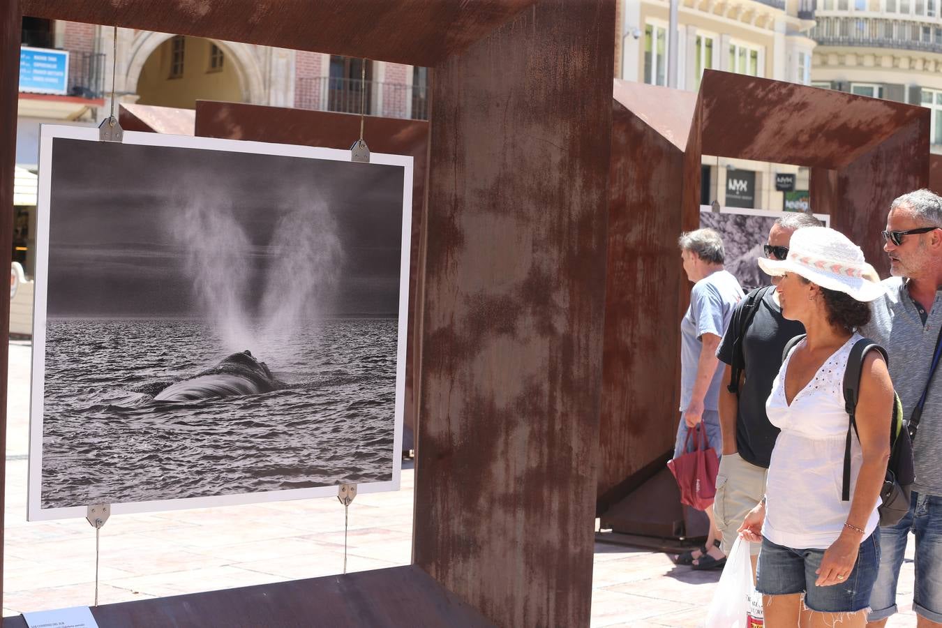 La plaza de la Constitución acoge las fotografías del autor brasileño de la mano de la Obra Social La Caixa