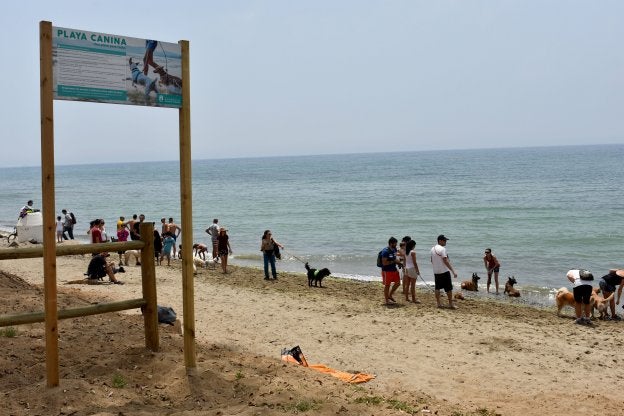 Primera visita de las mascotas a la playa canina de El Pinillo abierta ayer. :: j-lanza