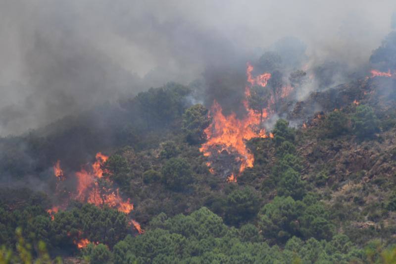 Tres helicópteros y medio centenar de bomberos luchan contra el incendioregistrado este domingo al norte de La Zagaleta.