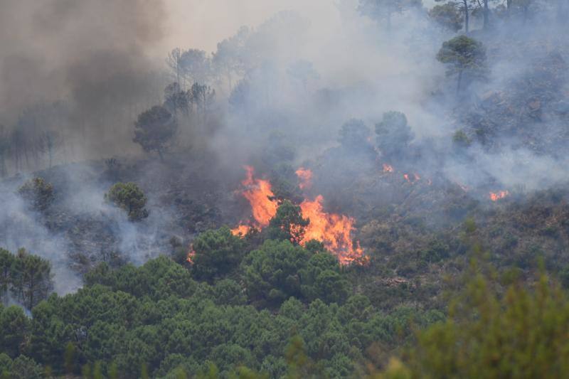 Tres helicópteros y medio centenar de bomberos luchan contra el incendioregistrado este domingo al norte de La Zagaleta.