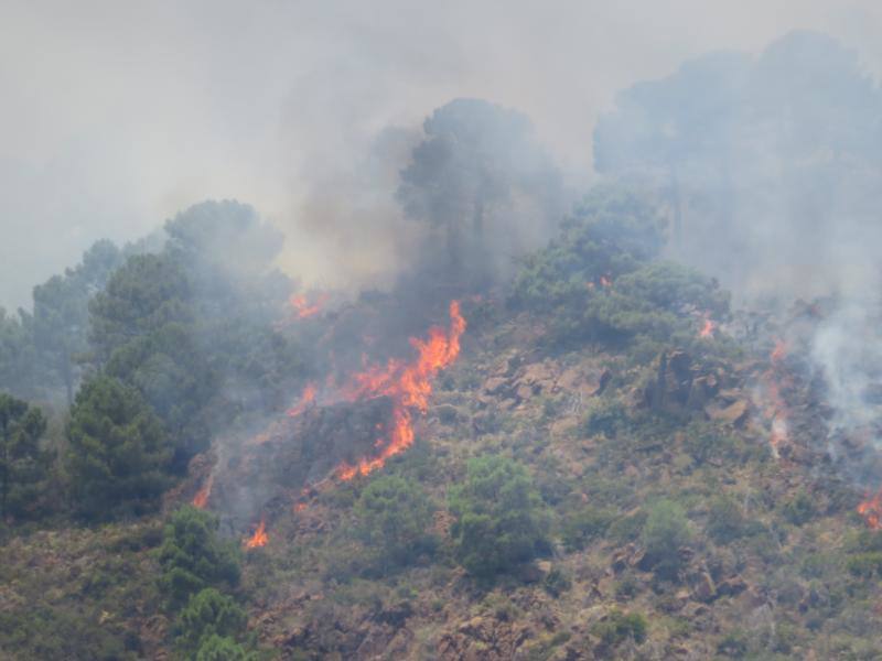 Tres helicópteros y medio centenar de bomberos luchan contra el incendioregistrado este domingo al norte de La Zagaleta.