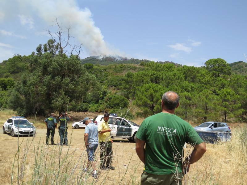 Tres helicópteros y medio centenar de bomberos luchan contra el incendio registrado este domingo al norte de La Zagaleta.