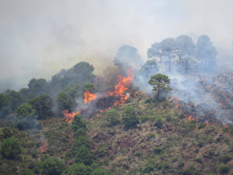 Tres helicópteros y medio centenar de bomberos luchan contra el incendioregistrado este domingo al norte de La Zagaleta.
