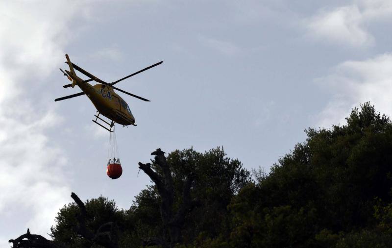 Tres helicópteros y medio centenar de bomberos luchan contra el incendioregistrado este domingo al norte de La Zagaleta.