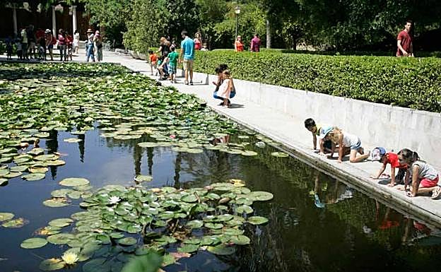 Jardín Botánico de la Concepción