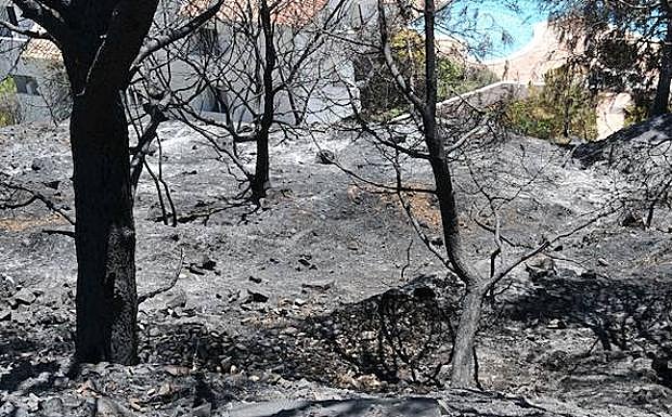 Imagen de un incendio registrado en agosto de 2012 en Mijas, que quedó a escasos metros de las viviendas de Calahonda. 