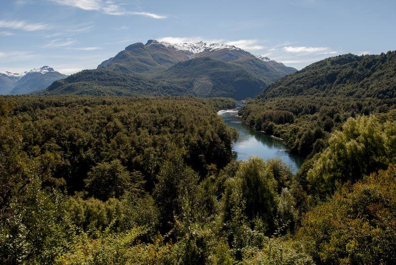La distinción del Parque Nacional Los Alerces en la provincia de Chubut, Argentina se basa en que el parque alberga un bosque milenario con "valor universal excepcional", y destaca que el alerce es la segunda especie viviente más longeva del planeta, así como la particular belleza natural del entorno. 