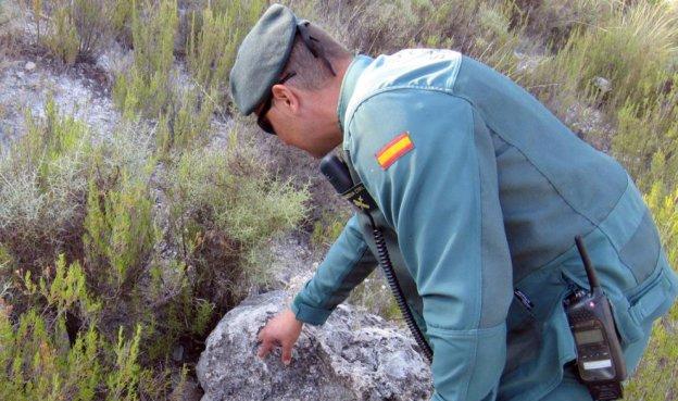 El Seprona investiga los envenenamientos. 