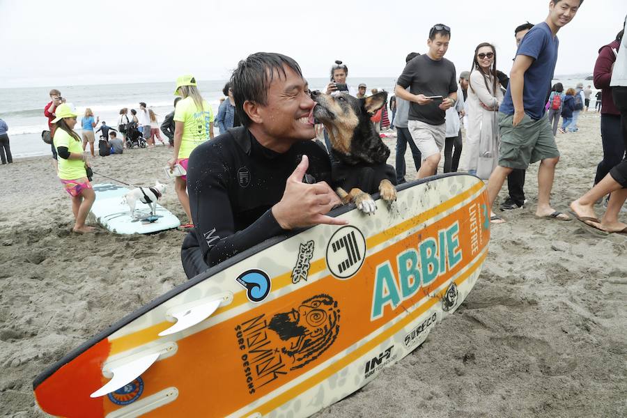 El Campeonato Mundial de Surf para perros en la Playa Linda Mar en California. Los perros acompañados de sus tandems o dueños luchan por el primer puesto en la competición 