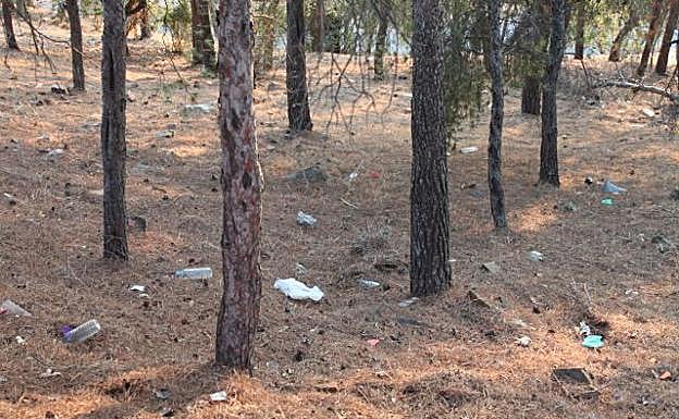 Terrenos de Monte Calvario 