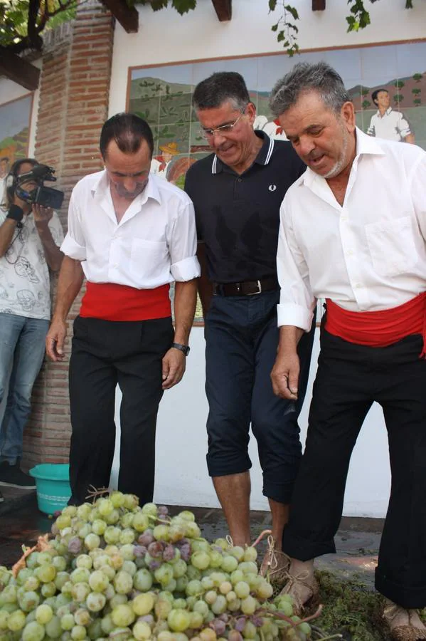 La localidad de la Alta Axarquía celebra este martes la 42.º edición de su fiesta en honor a la uva