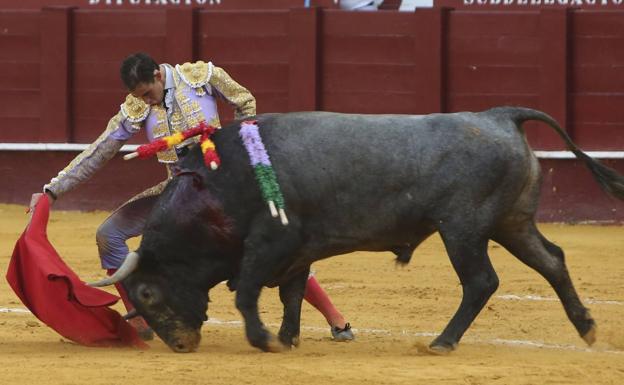 Fortes, dos orejas y cornada y un gran toro de Victorino en Málaga
