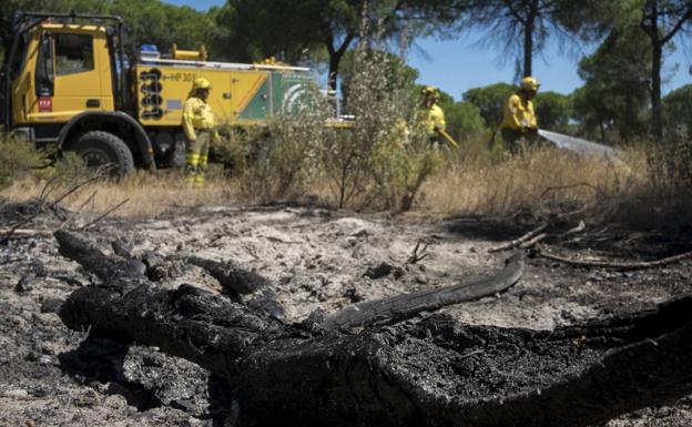 La carbonería que causó el incendio de Doñana intentó ocultar las pruebas