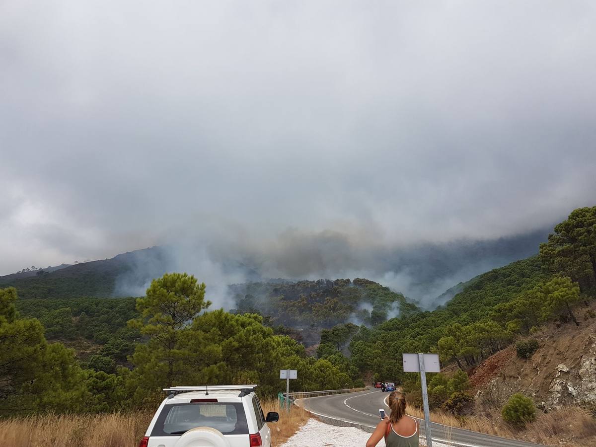 El fuego se inició este mediodía en la carretera A-397 que une San Pedro con Ronda