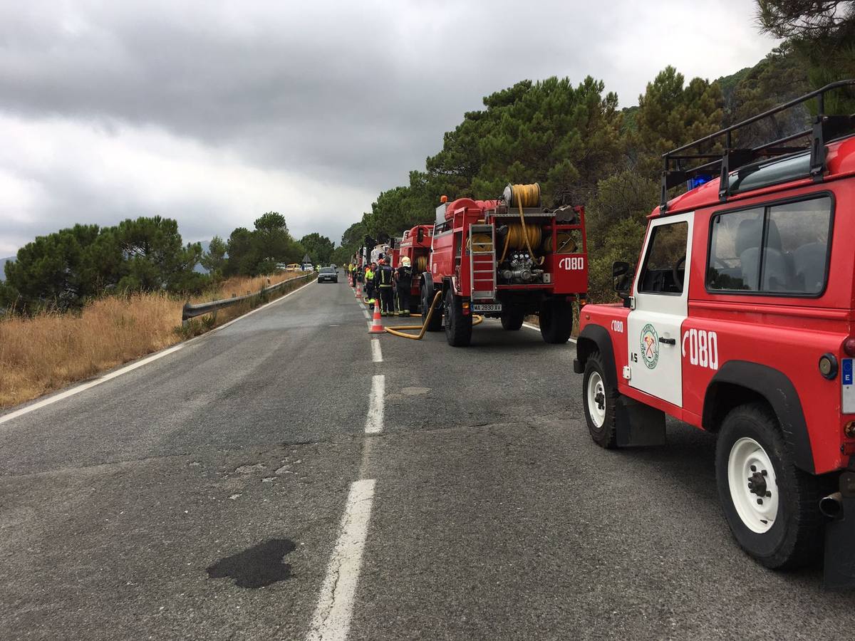 El fuego se inició este mediodía en la carretera A-397 que une San Pedro con Ronda