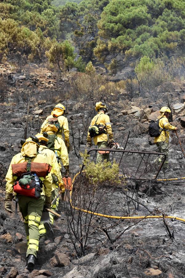 El fuego se inició en la carretera A-397 que une San Pedro con Ronda