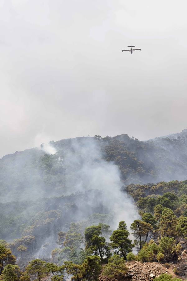 El fuego se inició en la carretera A-397 que une San Pedro con Ronda