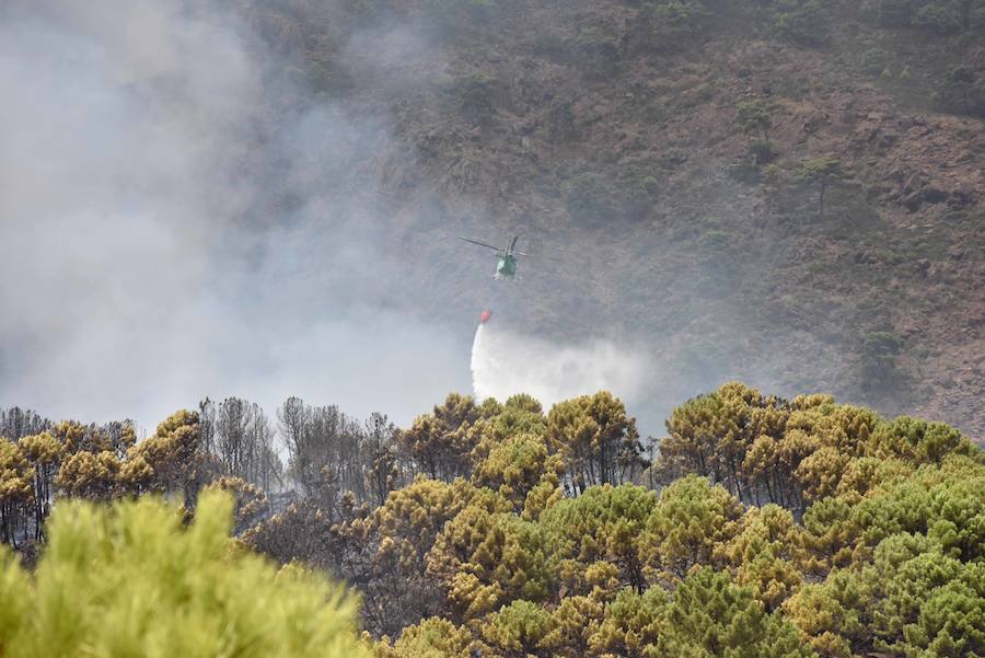 El fuego se inició en la carretera A-397 que une San Pedro con Ronda