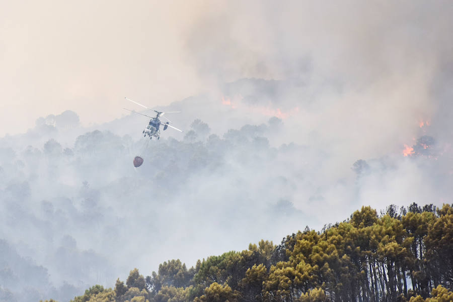 El fuego se inició en la carretera A-397 que une San Pedro con Ronda