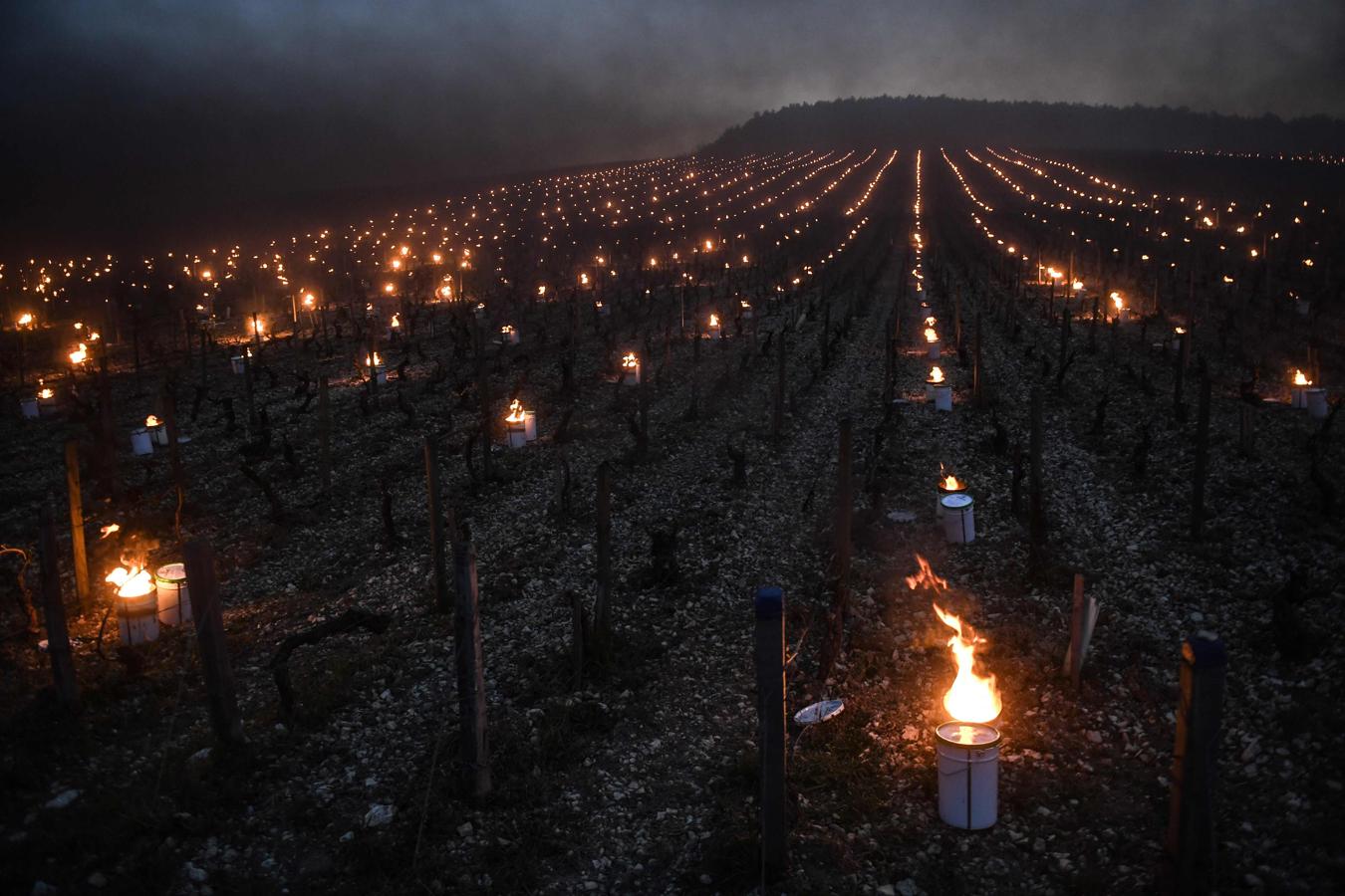 Viticultores de un viñedo de Chablis en Francia incorporan calentadores por la mañana temprano por las heladas que están dañando el cultivo. La circunstancia climática está dañando los huertos y viñedos franceses haciendo descender la producción de vino en un 18% para este año como indicaba el Ministro de Agricultura Francés. 