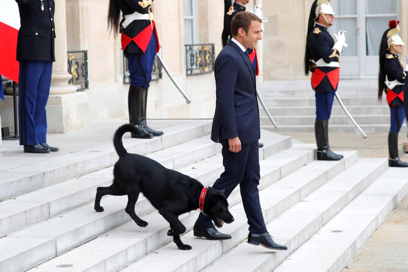 Nemo es el nuevo inquilino del Elíseo en Francia. Se trata de labrador cruzado con grifón, que ha sido adoptado el pasado domingo por el presidente francés, Emmanuel Macron. Estos días ha sido 'presentado' en sociedad .