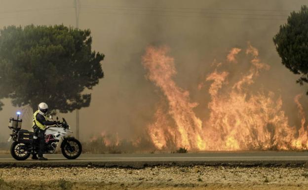 Un agente de la unidad en un incendio este verano.