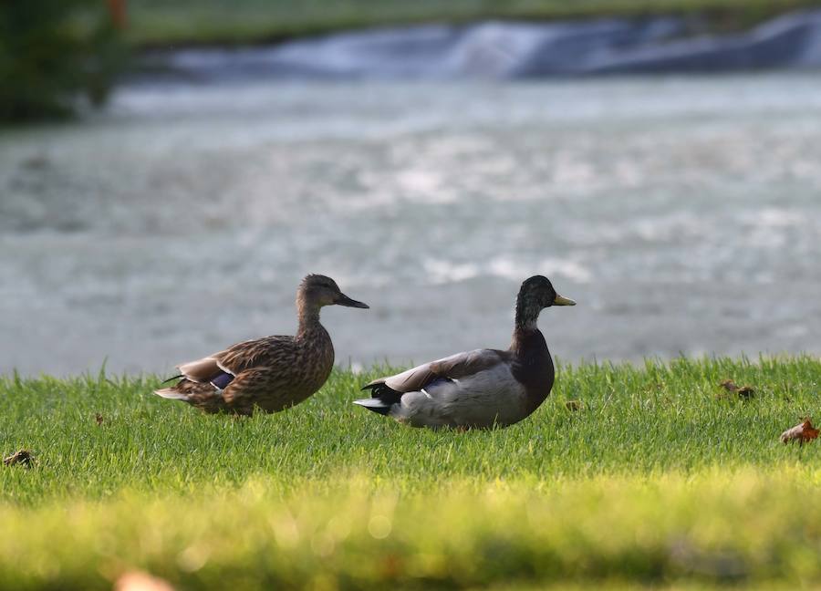 Así ha transcurrido la jornada en Marbella