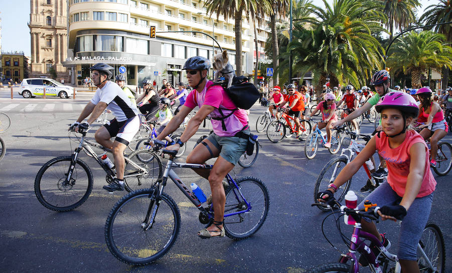 Más de 15.000 ciclistas han tomado esta mañana las calles de la ciudad en una actividad enmarcada en la Semana de la Movilida