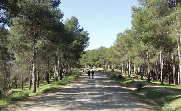 Doce rutas de senderismo para hacer CON niños este otoño EN Málaga