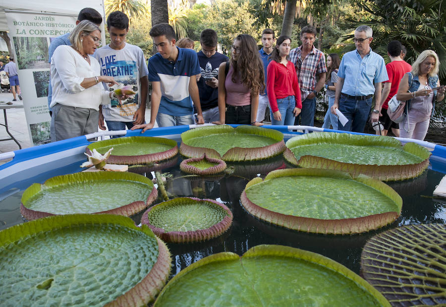 Así ha transcurrido la jornada